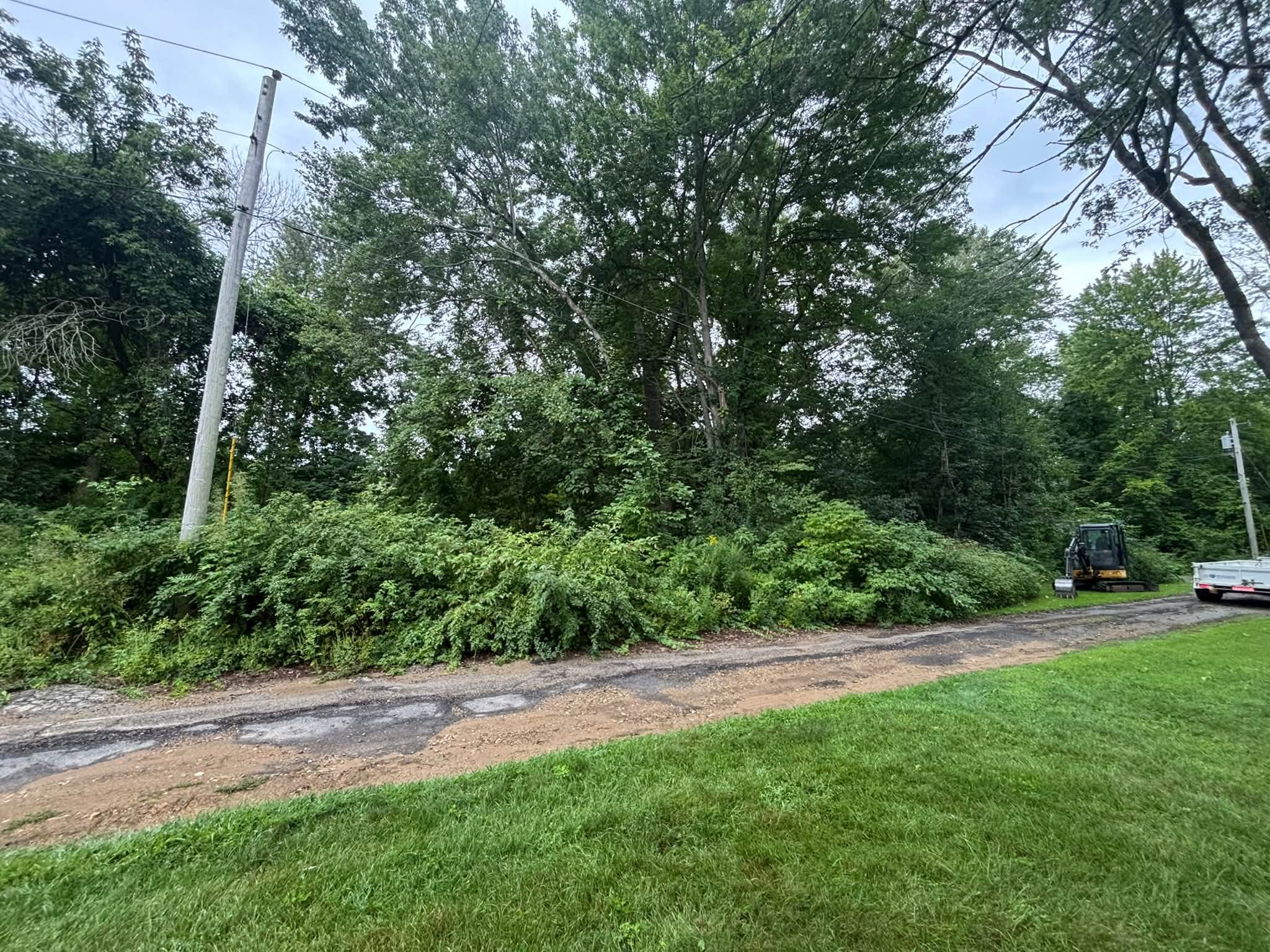 Before — uneven overgrown slope, Spencer MA